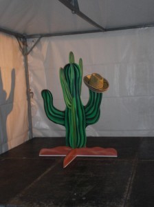 Cactus werpen